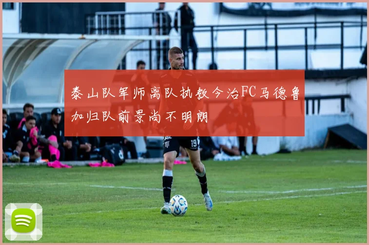 泰山队军师离队执教今治FC马德鲁加归队前景尚不明朗